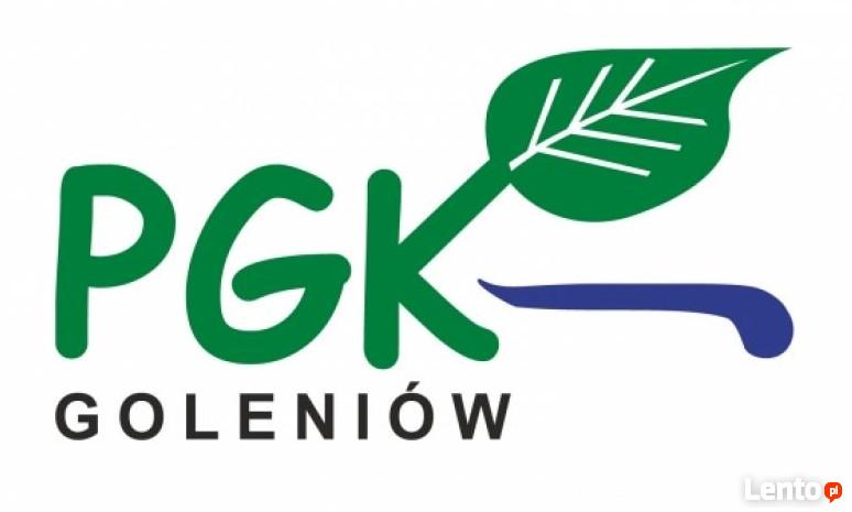 logo pgk