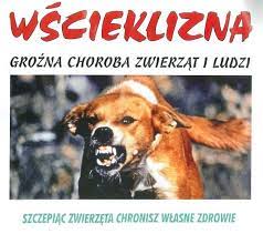 szczepienie psów 