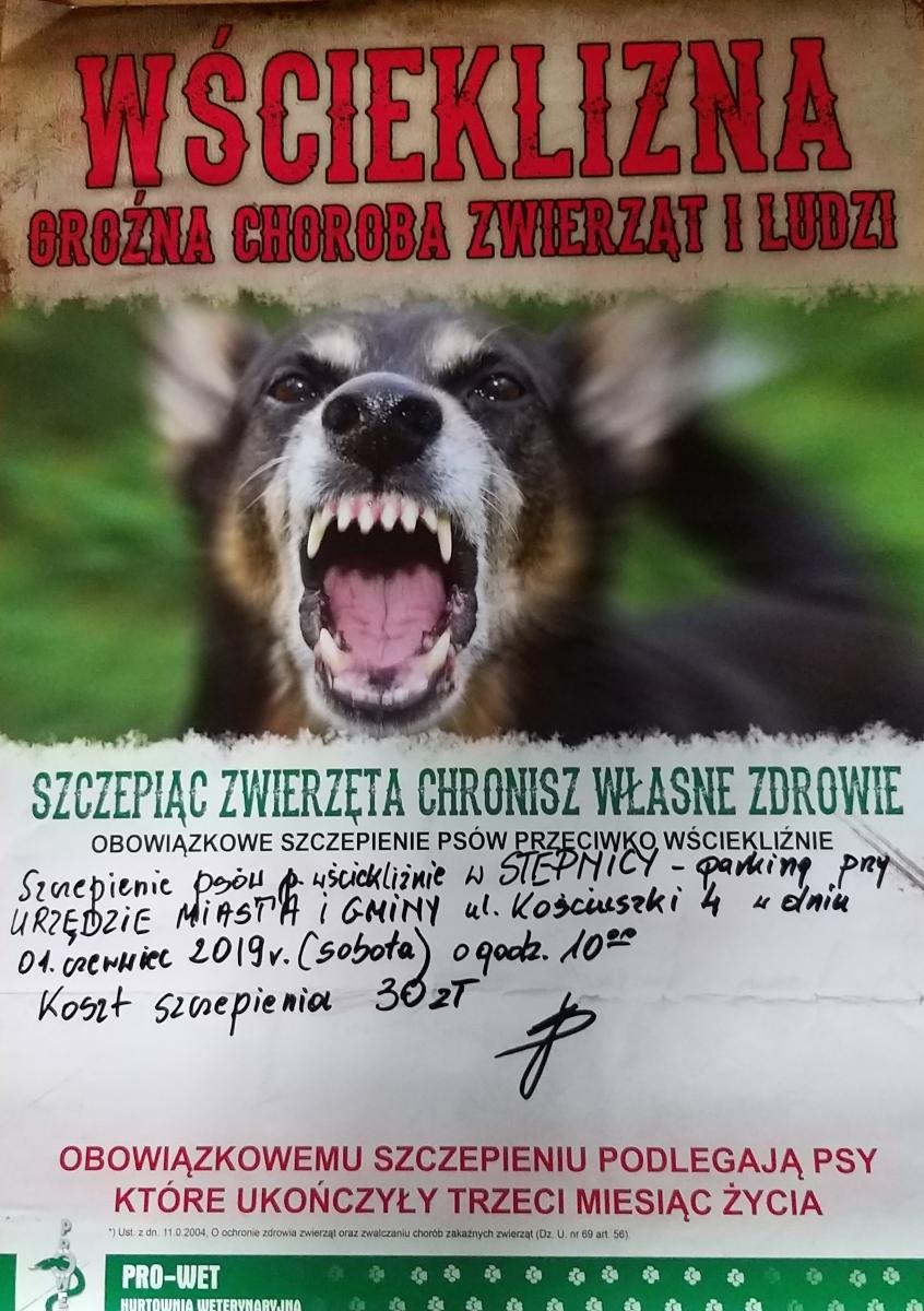 plakat dot szczepienia psów 